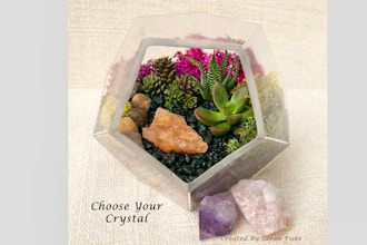 Plant Nite: Prism Glass w/ Crystal Option